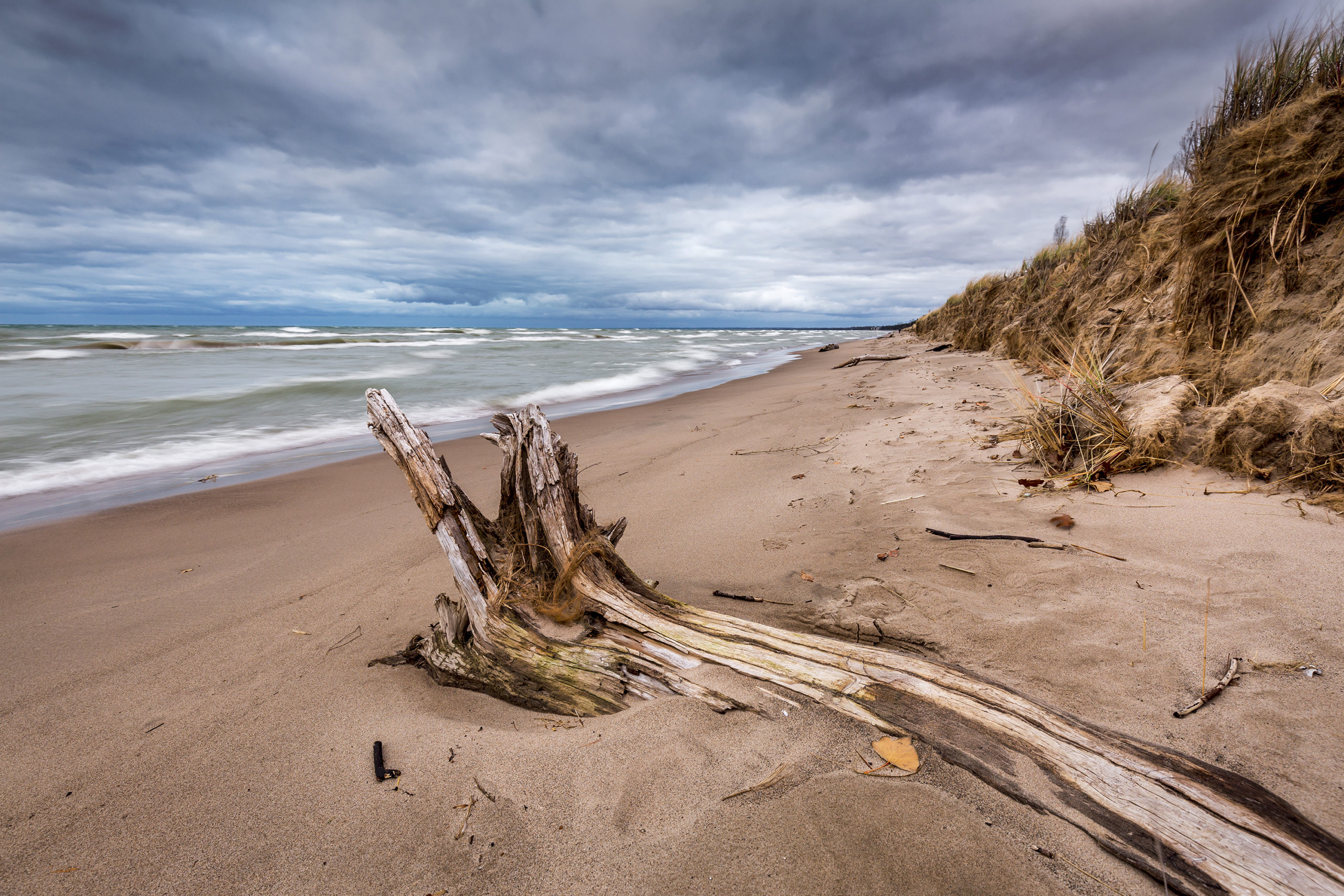 Autumn storm clouds form over driftwood on a Lake Huron beach - Pinery Provincial Park, Ontario, Canada