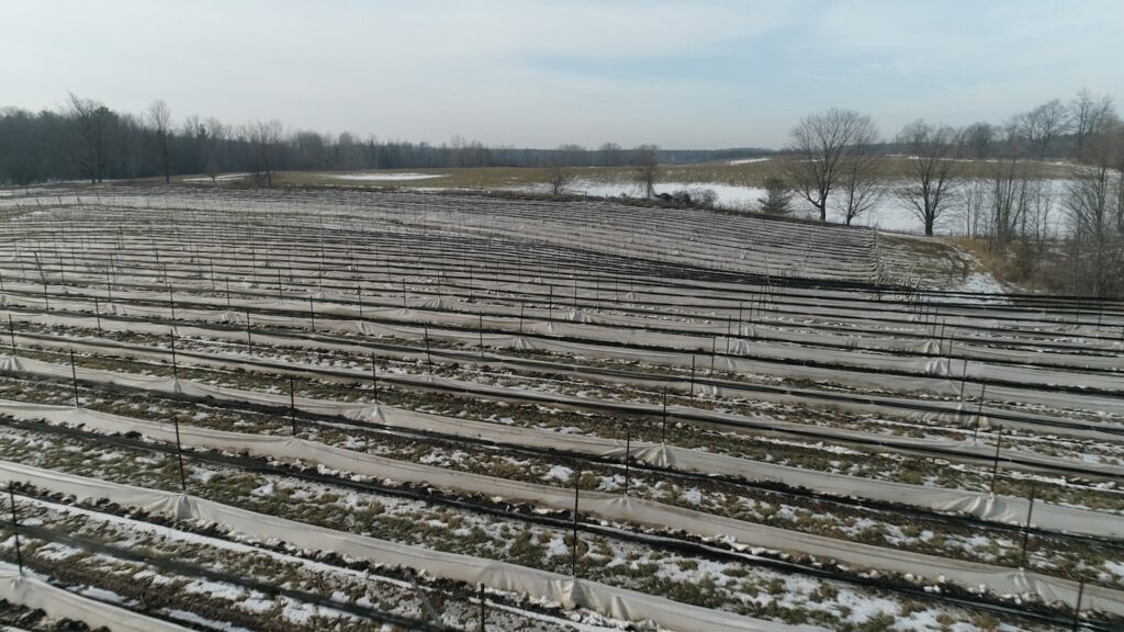 OWAA January newsletter