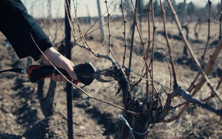 April 2025 Newsletter